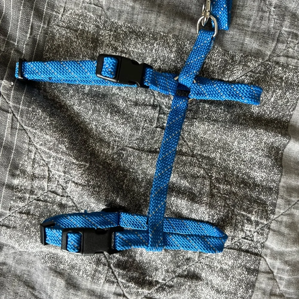 Cat Harness & Leash